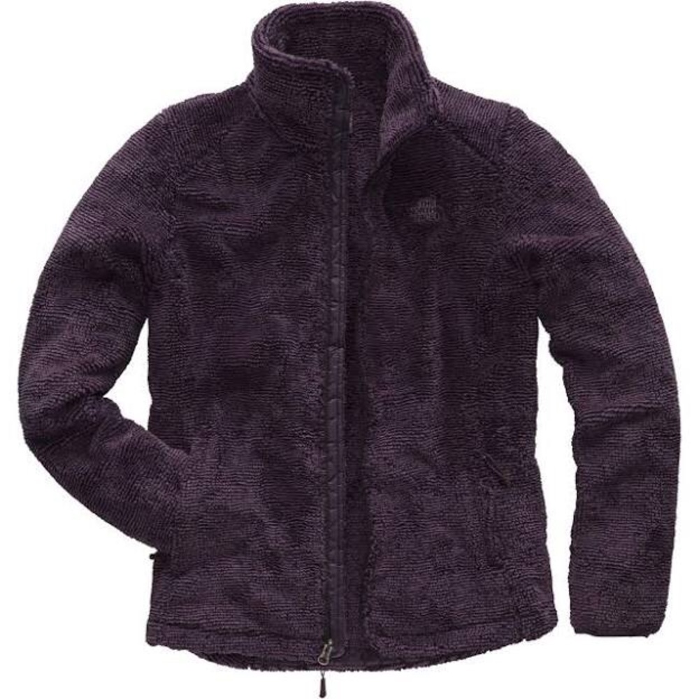 NWT North Face Osito 2 Jacket